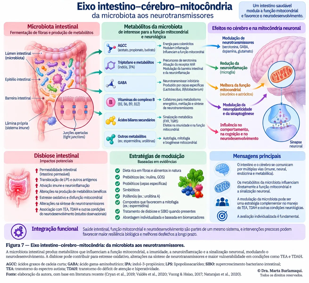 Esquema em três colunas: microbiota intestinal e barreira, metabólitos produzidos pela microbiota, e efeitos no cérebro e na mitocôndria neuronal, com painéis inferiores sobre disbiose, estratégias de modulação e mensagens principais.