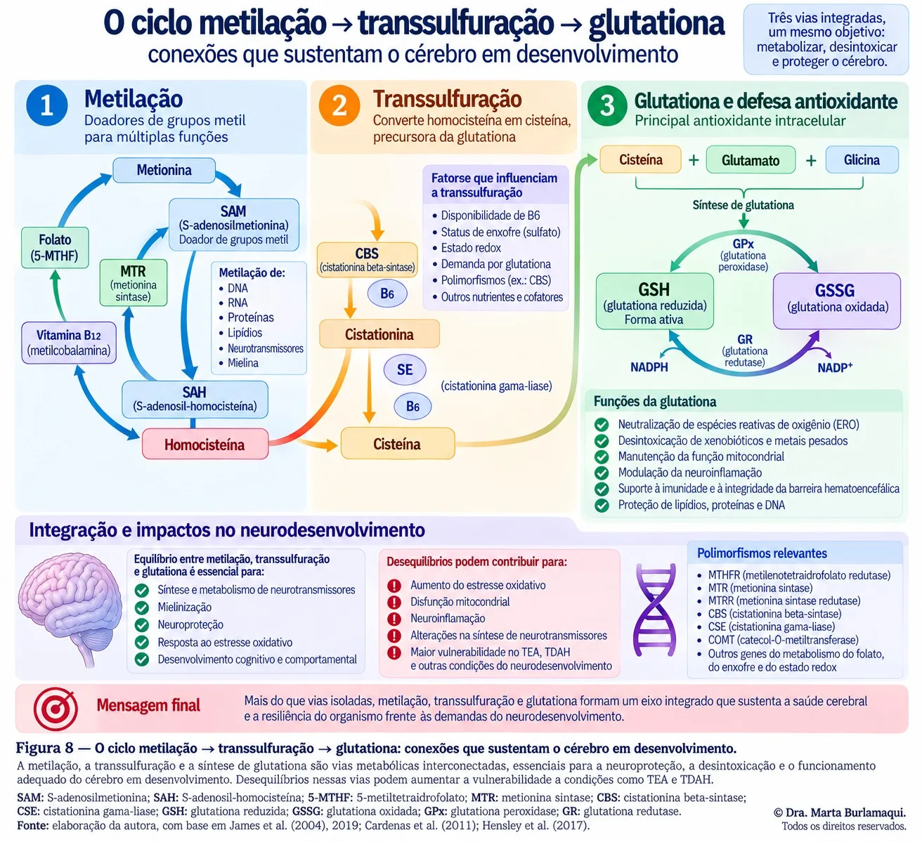 Três blocos encadeados: metilação com doadores de grupos metil, transsulfuração convertendo homocisteína em cisteína, e síntese de glutationa com o par glutationa reduzida e oxidada, seguidos de um painel sobre integração e impactos no neurodesenvolvimento.